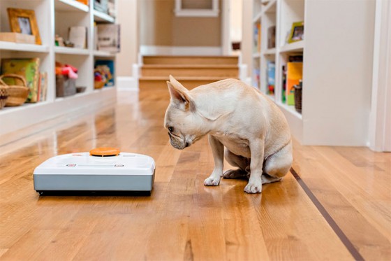 Робот-пылесос - особенности выбора устройства для дома с животными